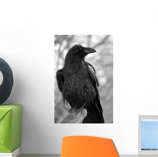 Maitre Corbeau Wall Decal
