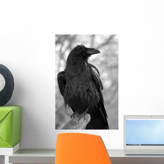 Maitre Corbeau Wall Decal