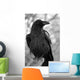 Maitre Corbeau Wall Decal