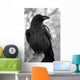 Maitre Corbeau Wall Decal