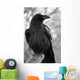 Maitre Corbeau Wall Decal
