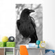 Maitre Corbeau Wall Decal