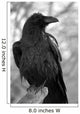 Maitre Corbeau Wall Decal