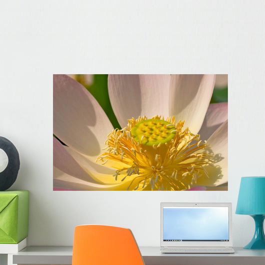 Zen Flower Wall Decal