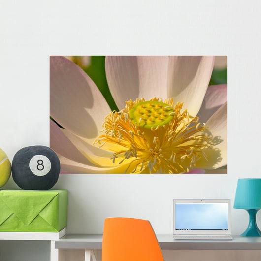 Zen Flower Wall Decal
