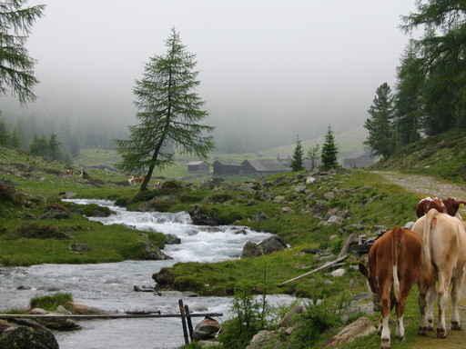 Auf Der Alm Wall Decal