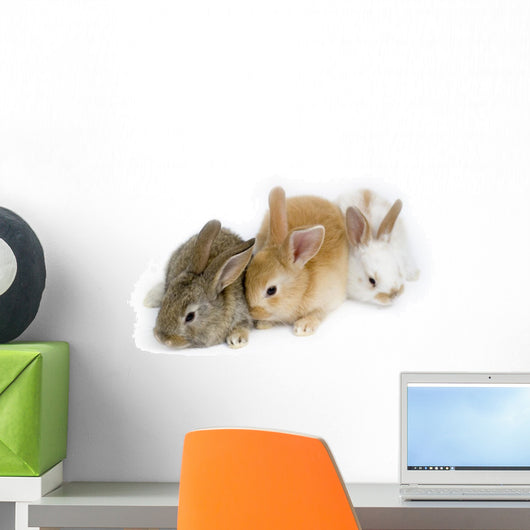 Cute Rabbit Family Wall Decal
