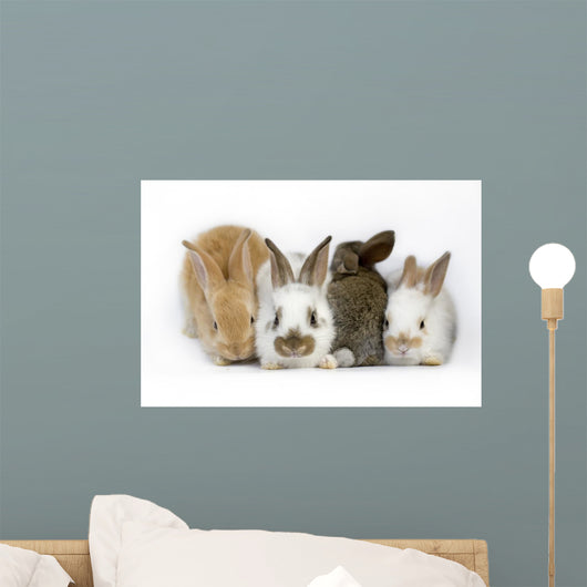 Sweet Four Baby Rabbit Wall Decal