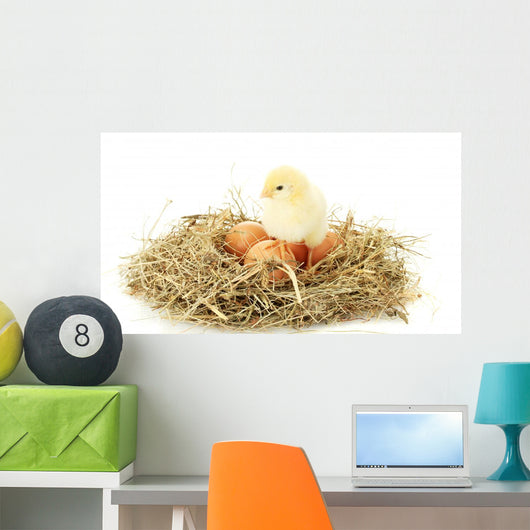 Beautiful Little Chicken and Wall Decal