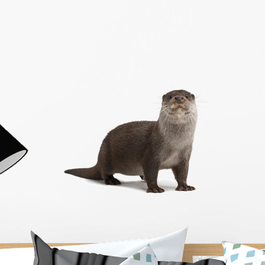 Curious European Otter Wall Decal