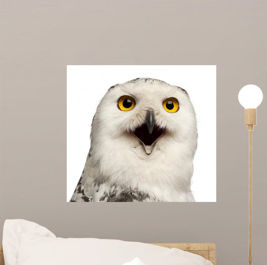 Female Snowy Owl Wall Decal