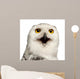 Female Snowy Owl Wall Decal