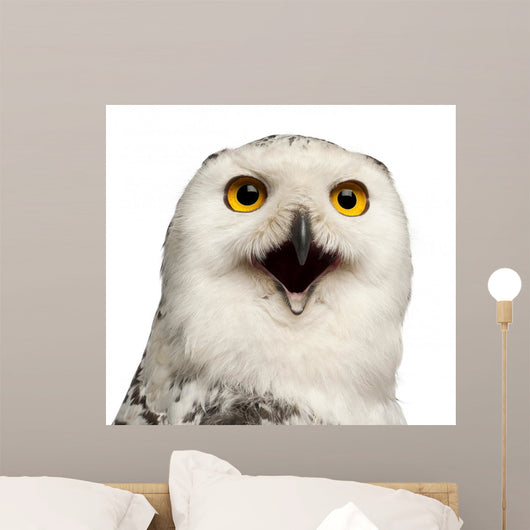 Female Snowy Owl Wall Decal