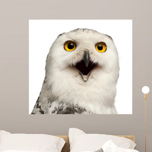 Female Snowy Owl Wall Decal
