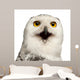 Female Snowy Owl Wall Decal