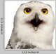 Female Snowy Owl Wall Decal