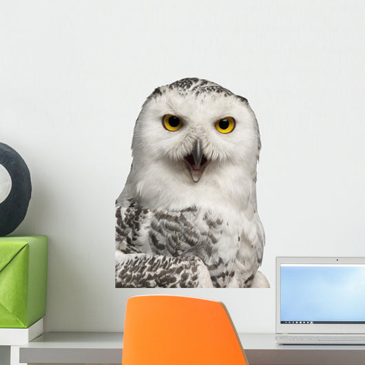 Female Snowy Owl Bubo Wall Decal