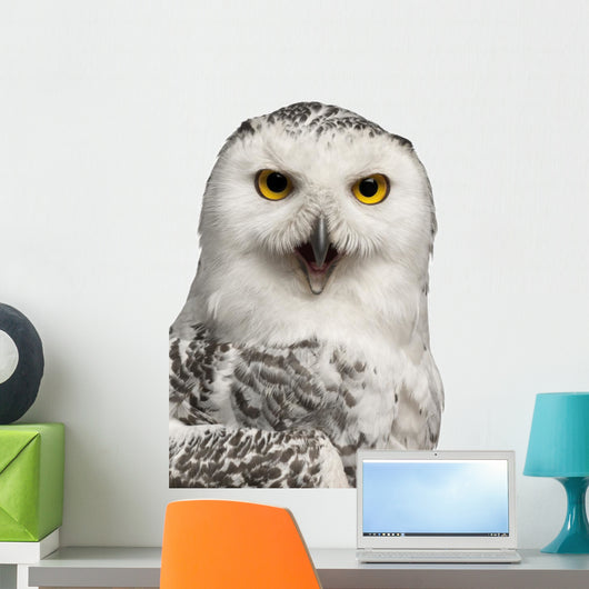 Female Snowy Owl Bubo Wall Decal
