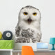 Female Snowy Owl Bubo Wall Decal