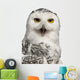 Female Snowy Owl Bubo Wall Decal