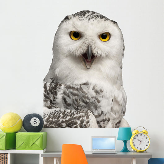 Female Snowy Owl Bubo Wall Decal