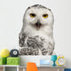 Female Snowy Owl Bubo Wall Decal