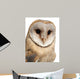 Barn Owl Wall Decal