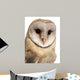 Barn Owl Wall Decal