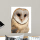 Barn Owl Wall Decal