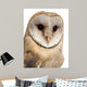 Barn Owl Wall Decal