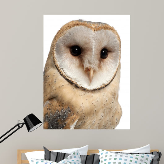 Barn Owl Wall Decal