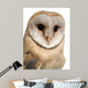 Barn Owl Wall Decal