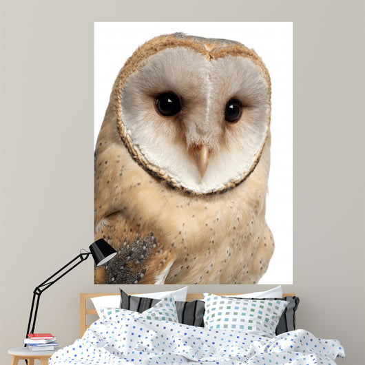 Barn Owl Wall Decal