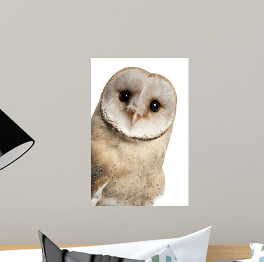 Barn Owl Face Wall Decal