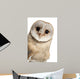 Barn Owl Face Wall Decal