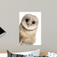 Barn Owl Face Wall Decal