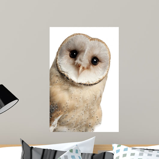 Barn Owl Face Wall Decal