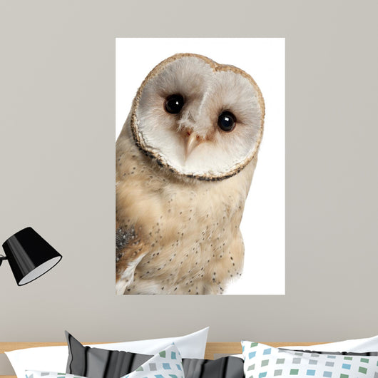 Barn Owl Face Wall Decal