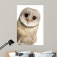 Barn Owl Face Wall Decal