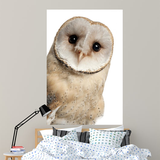 Barn Owl Face Wall Decal