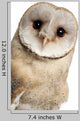 Barn Owl Face Wall Decal