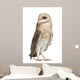 Barn Owl Looking Around Wall Decal