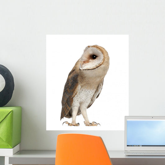 Barn Owl Left Side Wall Decal