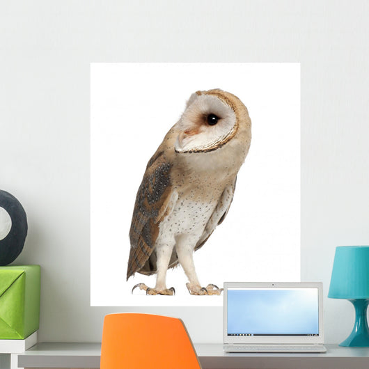 Barn Owl Left Side Wall Decal