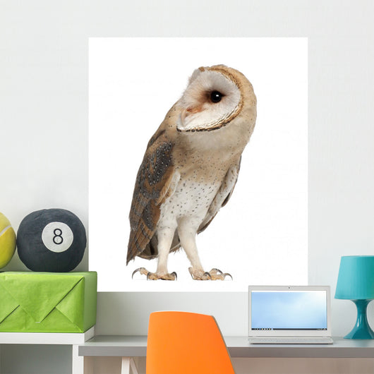 Barn Owl Left Side Wall Decal