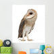 Barn Owl Left Side Wall Decal
