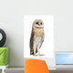 Watchful Barn Owl Wall Decal
