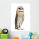 Watchful Barn Owl Wall Decal