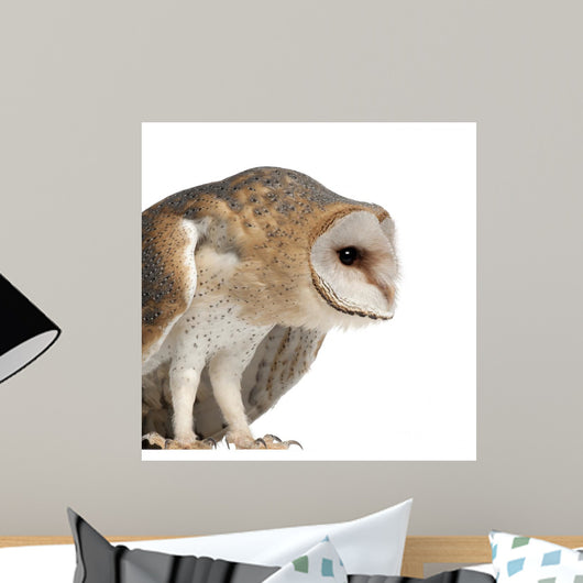 Hunched Barn Owl Wall Decal