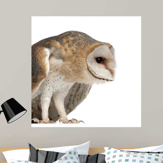 Hunched Barn Owl Wall Decal